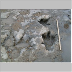 100_0787 (2009-27-07).JPG